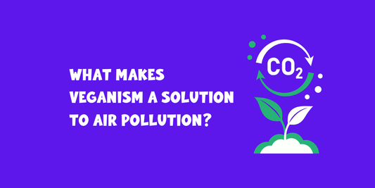 How Going Vegan Impacts Air Pollution: Exploring the Connection