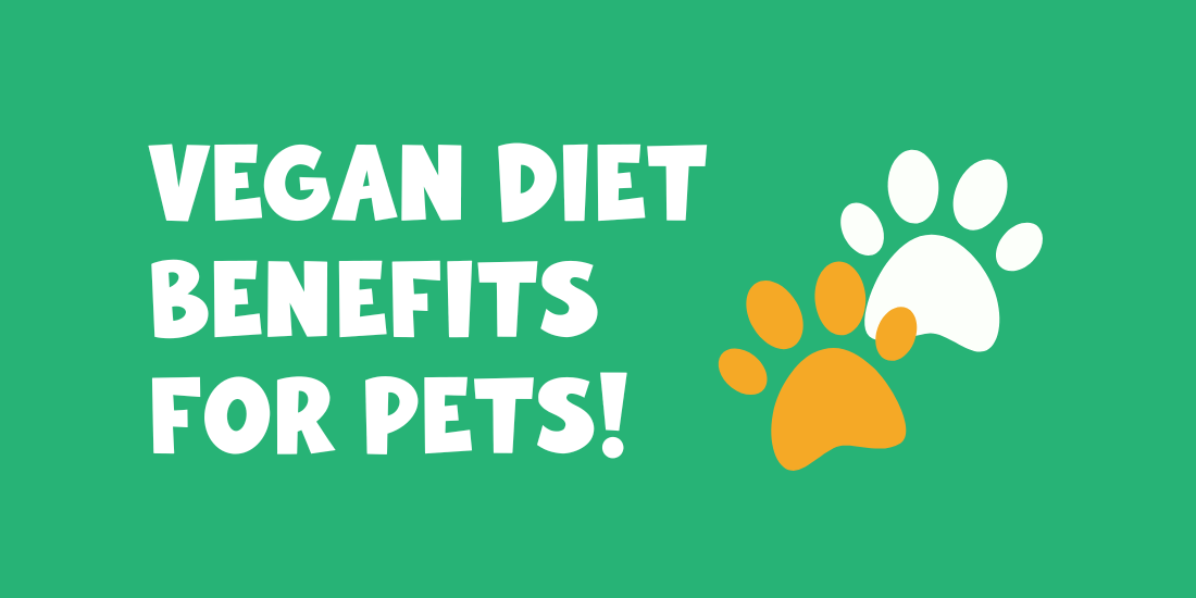 Vegan Diet for Pets - The Benefits of Plant-Based Eating for Your Furry Friends