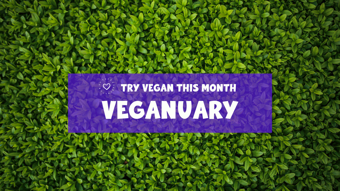 Be a Part of Veganuary 2024 - Try Vegan this January!