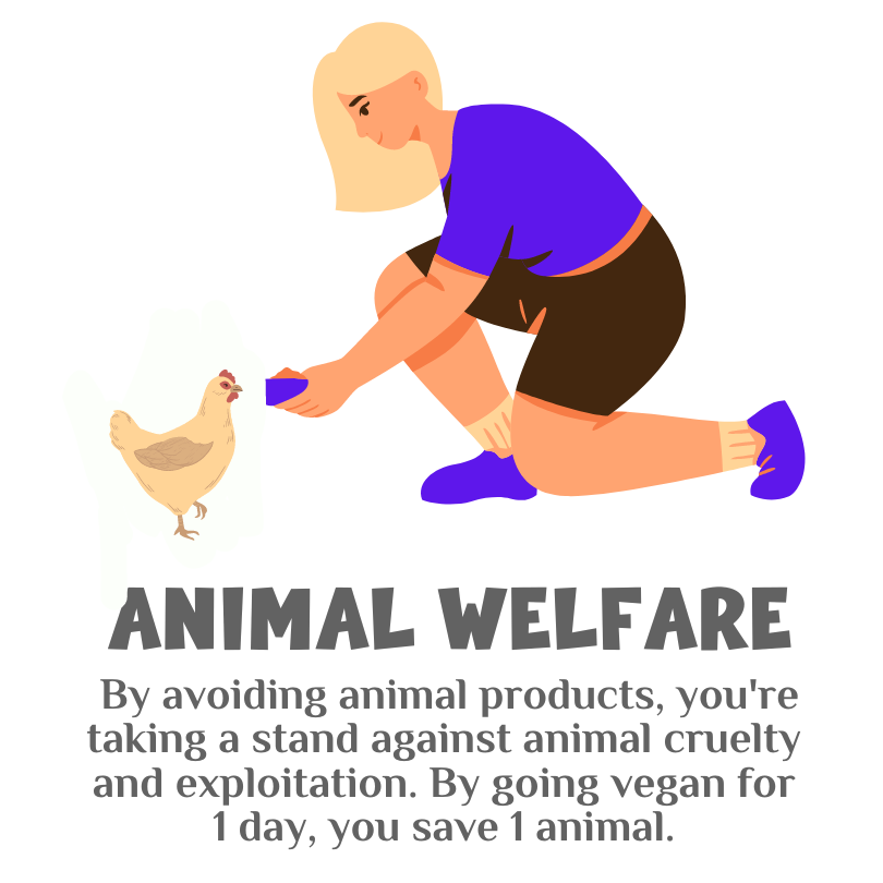 Animal Welfare 